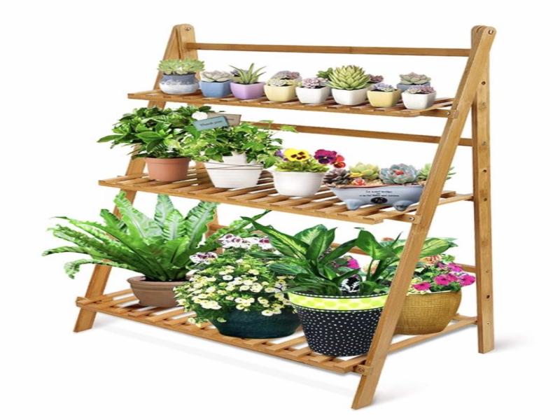 imagen de la oportunidad