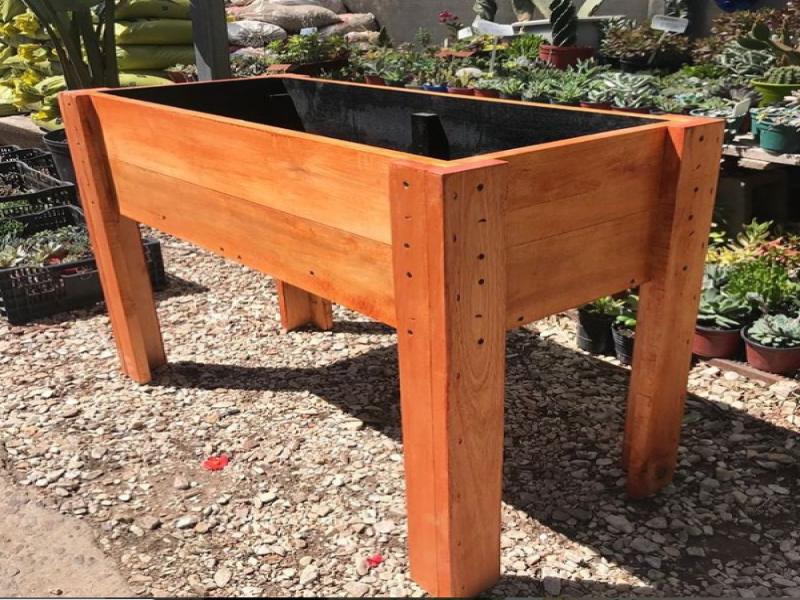 imagen de la oportunidad